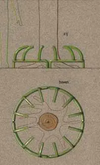Cirline boombeschermer