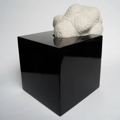 sculptuur 37, keramiek, lak