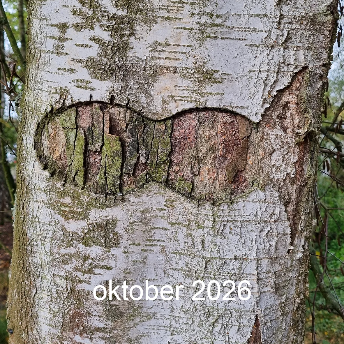 Landart