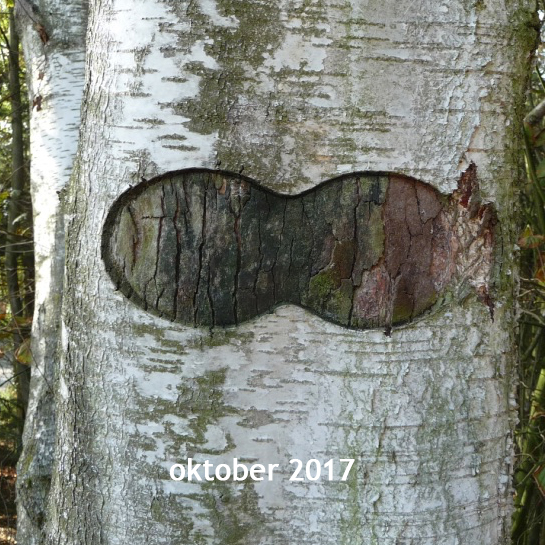 Berkuitsnijding 2017