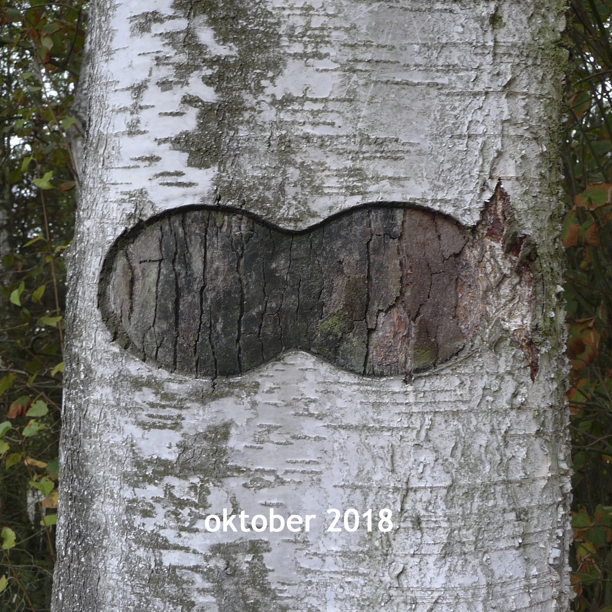 Berkuitsnijding 2018