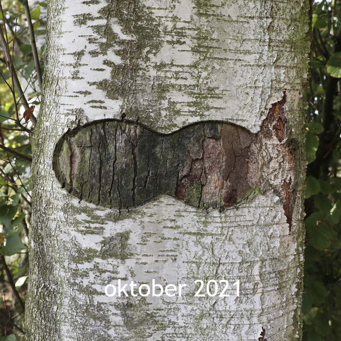 Berkuitsnijding 2021