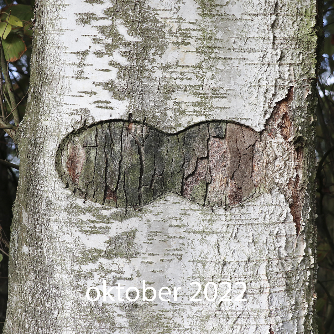 Berkuitsnijding 2022