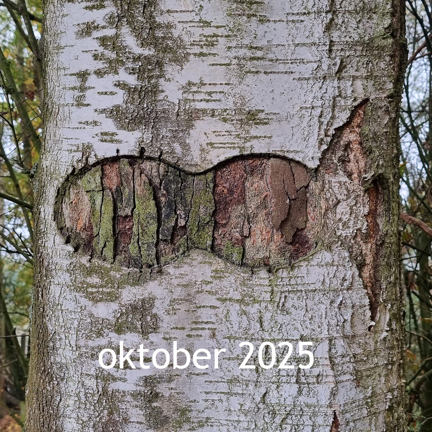 Berkuitsnijding 2025