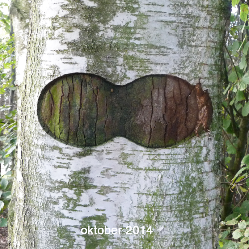 Berkuitsnijding oktober 2014