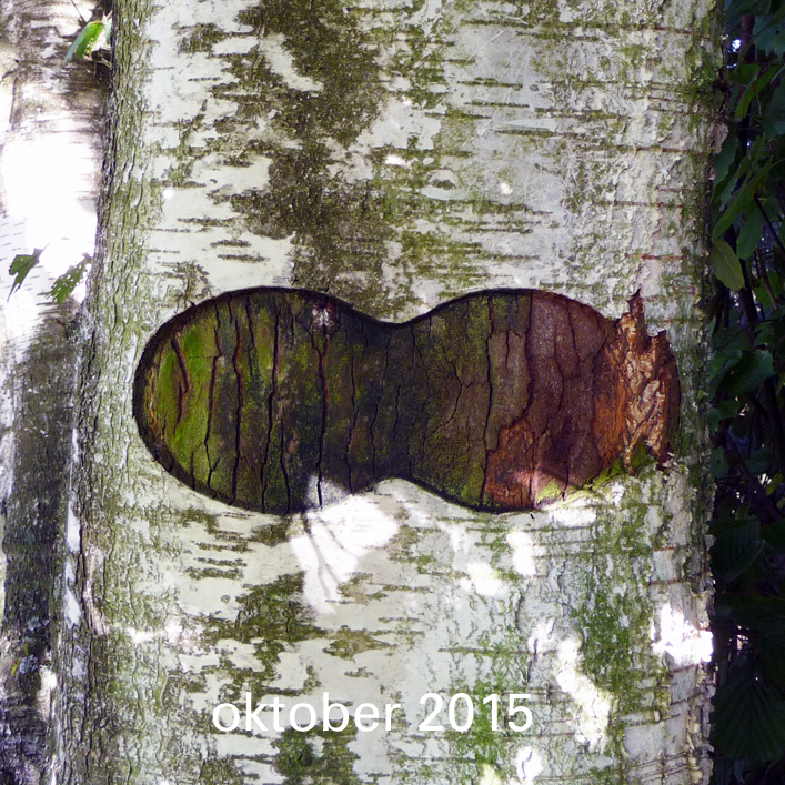 Berkuitsnijding oktober 2015